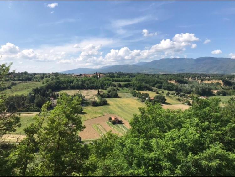 La Torretta Villa Laterina Buitenkant foto